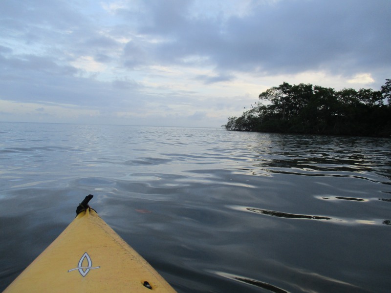 kayaking on the caribbean sea