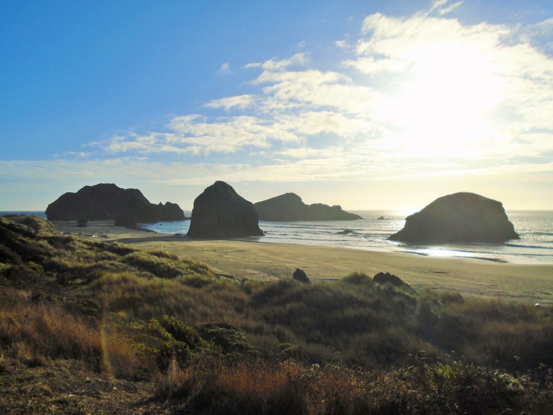 Oregon coast.800