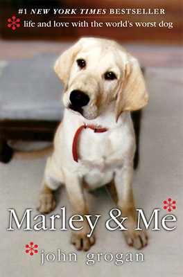 books set in florida marley and me