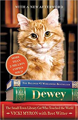 books set in iowa dewey the small-town cat