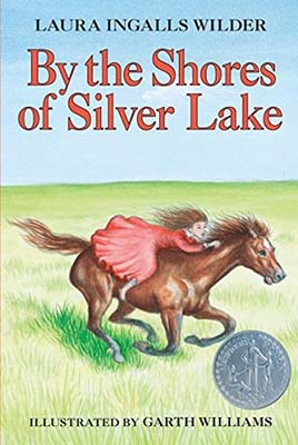 121 shores of silver lake