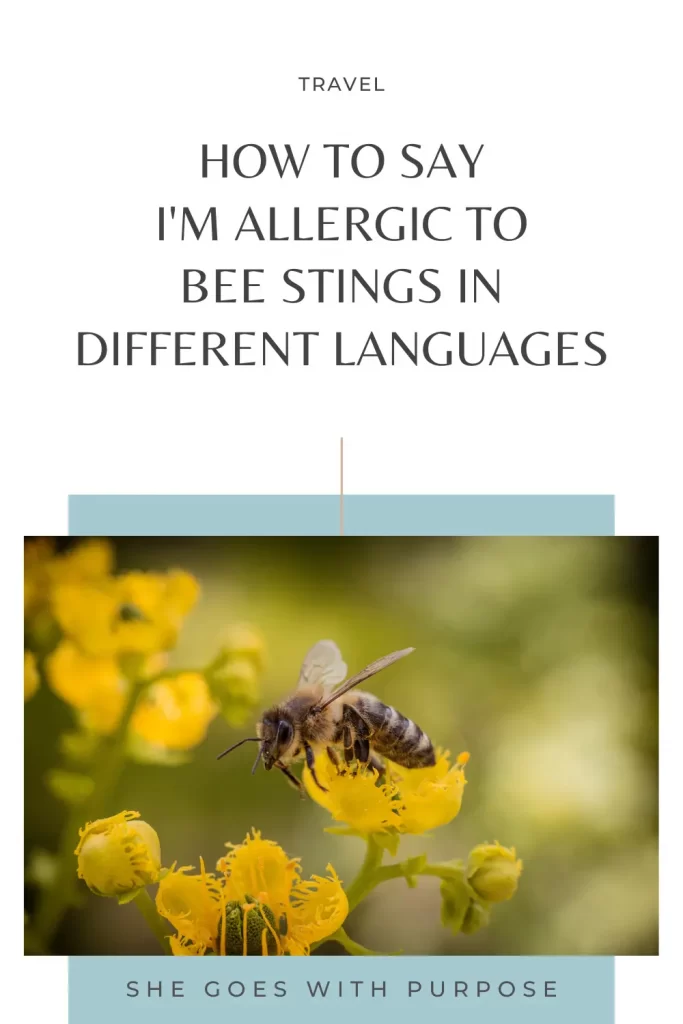 I've gathered 50 different translations for I'm allergic to bee stings. Included are almost all of the top 20 spoken languages of the world and languages of the countries I've traveled to. Plus, a whole bunch more just for fun. 