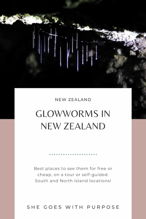 glowworms new zealand