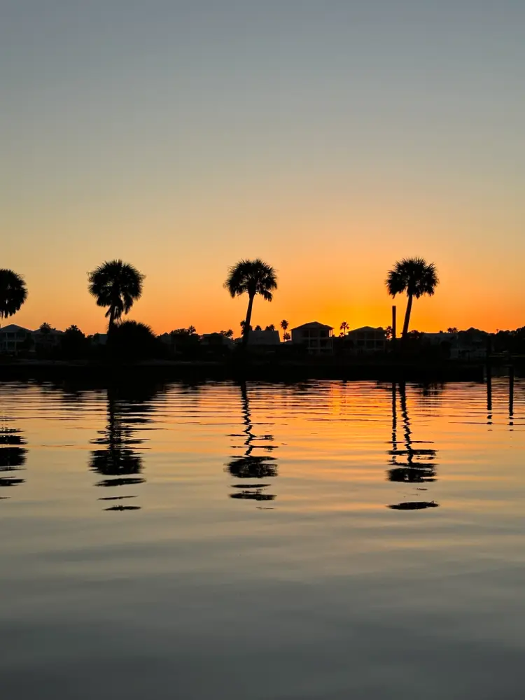 A serene sunset over a calm body of water, with palm trees silhouetted against the orange and yellow hues of the sky. The trees and nearby houses reflect beautifully on the water's surface, creating a peaceful and picturesque scene.