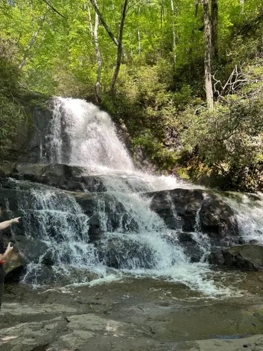 A picturesque waterfall cascades down rocks in a lush, green forest. The surrounding area is filled with dense foliage and sunlight filtering through the trees, creating a serene and natural setting.